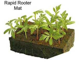 Rapid Rooter Mat
