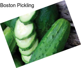 Boston Pickling