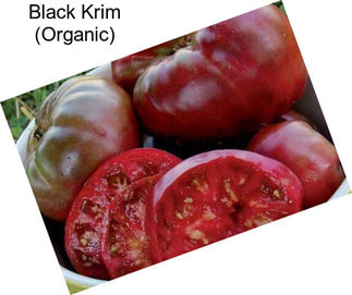 Black Krim (Organic)