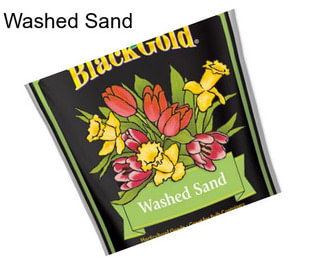 Washed Sand