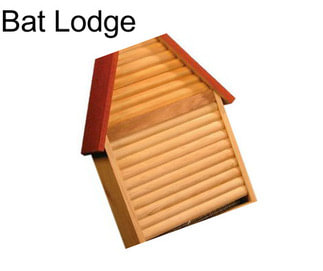 Bat Lodge