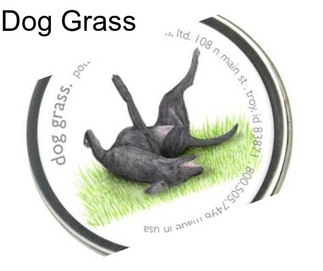 Dog Grass