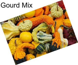 Gourd Mix