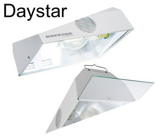 Daystar