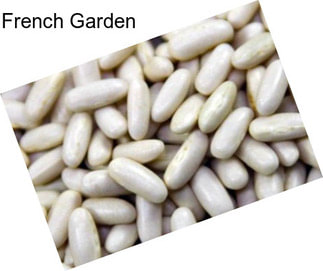 French Garden