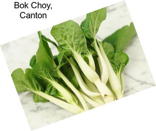 Bok Choy, Canton