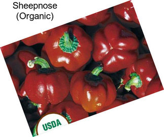 Sheepnose (Organic)