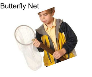 Butterfly Net