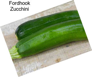 Fordhook Zucchini