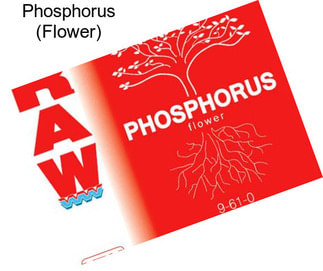 Phosphorus (Flower)