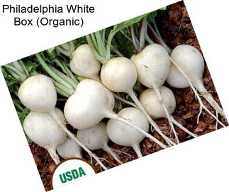 Philadelphia White Box (Organic)