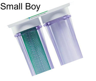 Small Boy