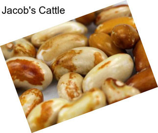 Jacob\'s Cattle