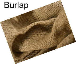 Burlap