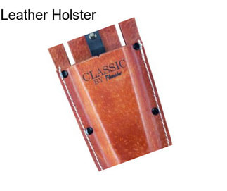 Leather Holster