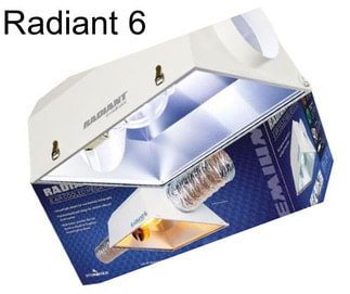 Radiant 6