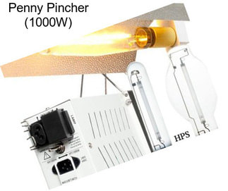 Penny Pincher (1000W)