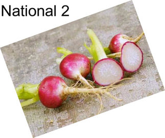 National 2