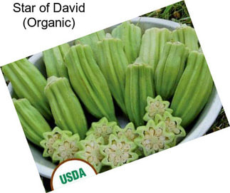 Star of David (Organic)
