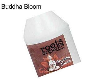 Buddha Bloom