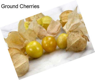 Ground Cherries
