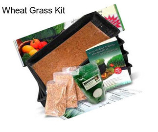 Wheat Grass Kit