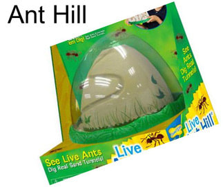 Ant Hill