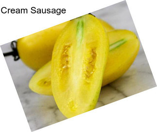 Cream Sausage