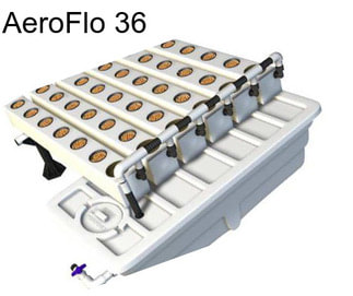 AeroFlo 36