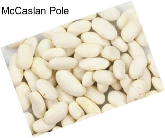 McCaslan Pole