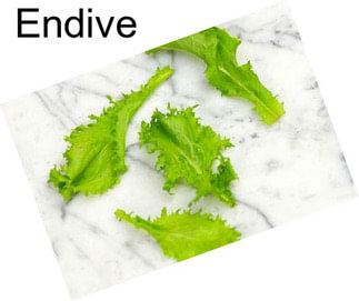 Endive