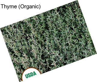 Thyme (Organic)