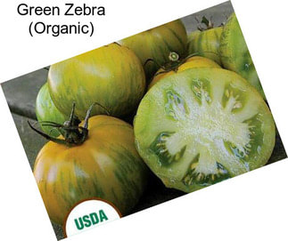 Green Zebra (Organic)