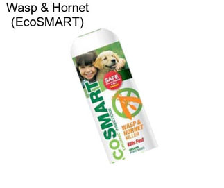 Wasp & Hornet (EcoSMART)