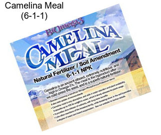 Camelina Meal (6-1-1)