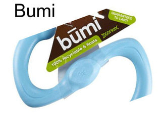 Bumi