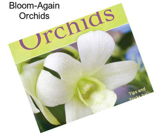 Bloom-Again Orchids