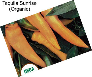 Tequila Sunrise (Organic)