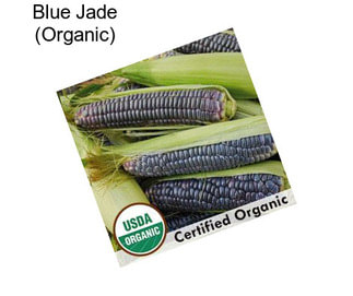 Blue Jade (Organic)