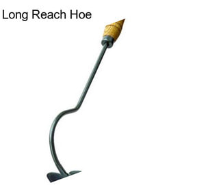 Long Reach Hoe