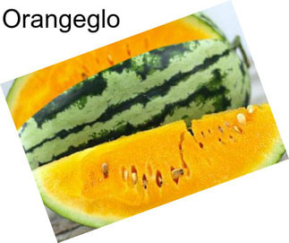 Orangeglo