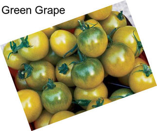 Green Grape