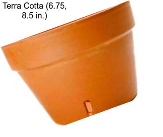 Terra Cotta (6.75, 8.5 in.)