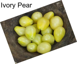 Ivory Pear