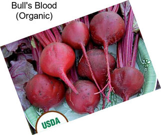 Bull\'s Blood (Organic)