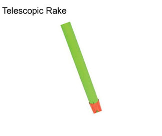 Telescopic Rake