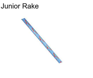 Junior Rake