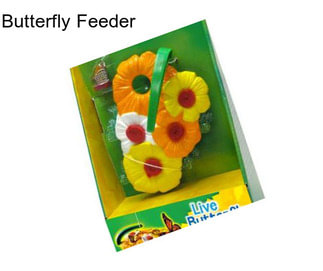 Butterfly Feeder