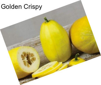 Golden Crispy