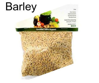 Barley